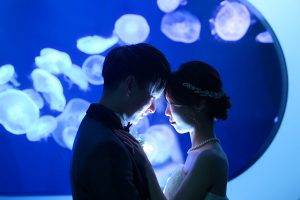マリンワールド海の中道水族館 | 水族館フォトウェディング