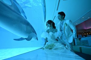 マリンワールド海の中道水族館 | 水族館フォトウェディング
