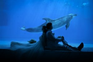 マリンワールド海の中道水族館 | 水族館フォトウェディング