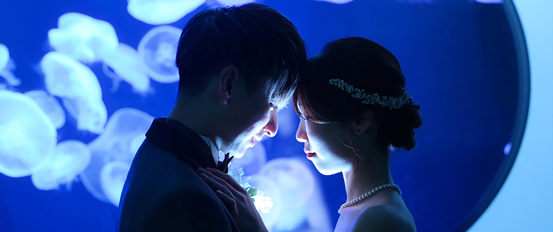 水族館フォトウェディング | 結婚が決まったらピュアナビ【PURE-NAVI】